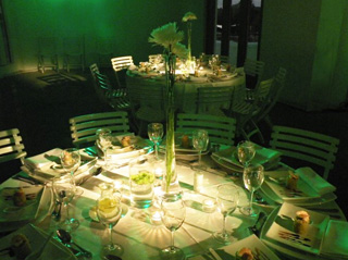 IMG-GALLERY