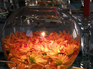 IMG-GALLERY
